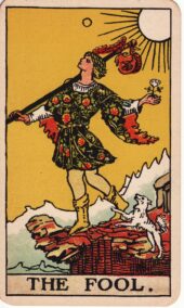 card-4