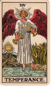 card-19
